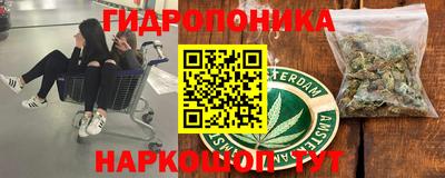 jwh Пенза